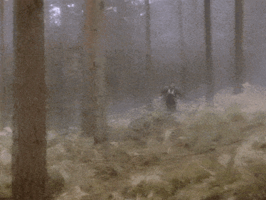 a man in a black jacket is standing in a forest .