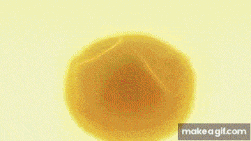 a close up of a yellow ball on a yellow background .