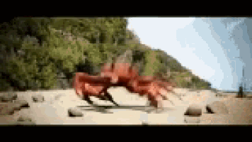 a crab is walking across a sandy beach in front of a mountain .