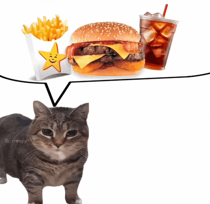 a cat is standing in front of a hamburger and french fries