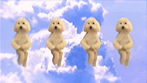 four small dogs are dancing in the sky with clouds