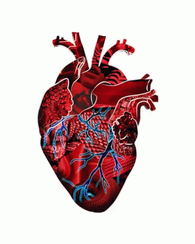 Heart Sticker GIF - Heart Sticker GIFs