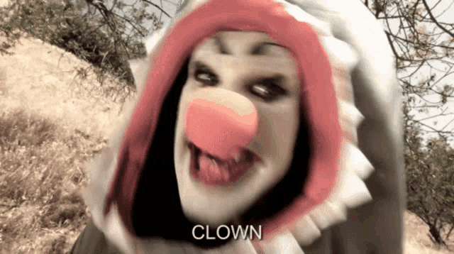 Clown Shark Clown GIF - Clown Shark Clown Shark GIFs