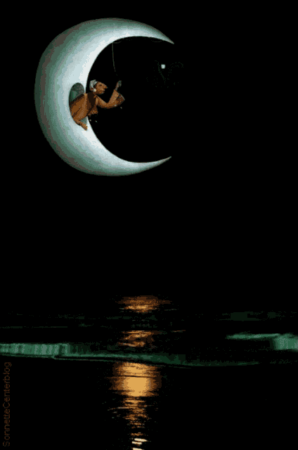 a cartoon of a turtle sitting on a crescent moon