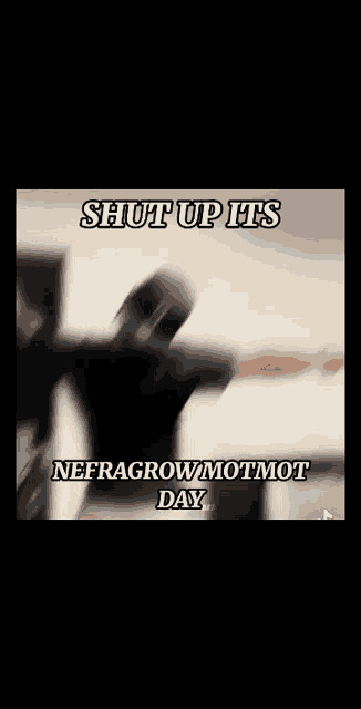 a screenshot of a video that says shut up its nefragrow motmot day