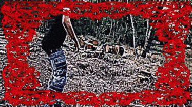 a man is standing in a pile of leaves in a forest with a red frame around him .
