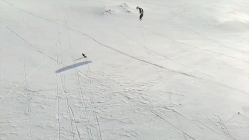 Ski Skiing GIF - Ski Skiing Paragliding GIFs