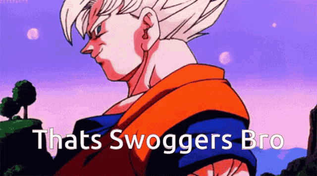 a picture of a cartoon character with the words thats swoggers bro