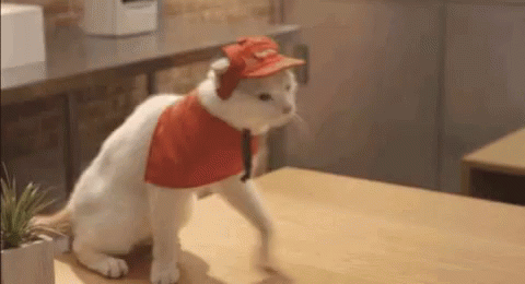 Cat Cashier GIF - Cat Cashier Worker Cat GIFs