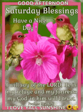 a good afternoon saturday blessings have a nice day card with pink flowers and birds