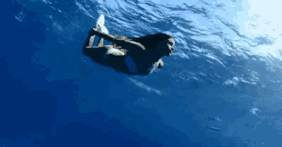 a woman in a blue bikini is swimming underwater in the ocean
