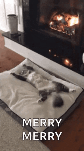 a cat is laying on a dog bed in front of a fireplace and says merry merry .