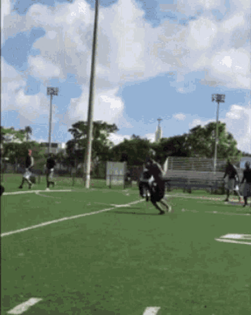 a group of people are playing a game of football