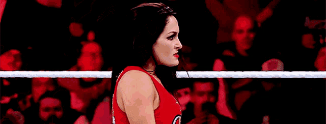 a woman in a red dress is standing in a wrestling ring in front of a crowd .