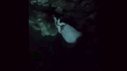 a person 's face is visible in the dark with a blurred background