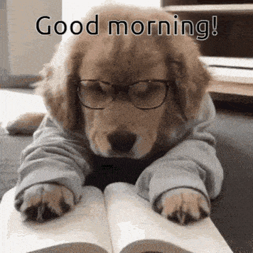 a puppy wearing glasses is reading a book