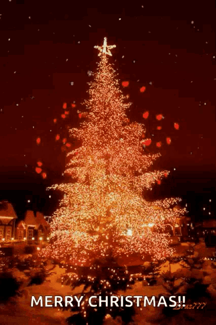 a merry christmas card with a christmas tree