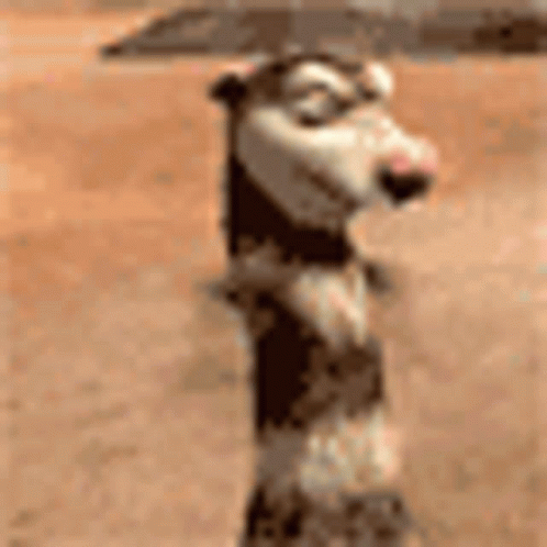 Spin Twirl GIF - Spin Twirl Ice Age GIFs
