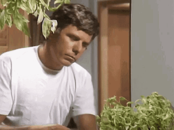 a man in a white shirt is standing in front of a plant .