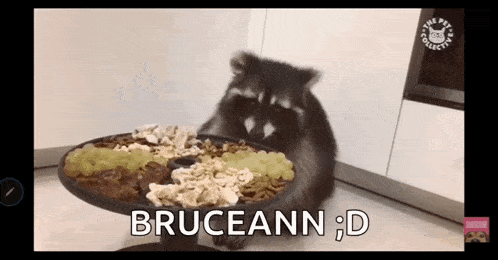 a raccoon is sitting at a table with a plate of food and says bruceann ; d
