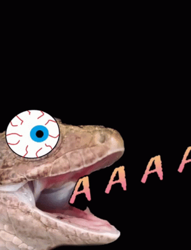 Crazy Lizard GIF - Crazy Lizard Yelling GIFs