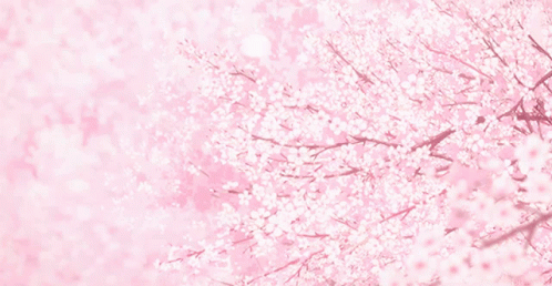 Aesthetic Sakura GIF - Aesthetic Sakura Pink GIFs