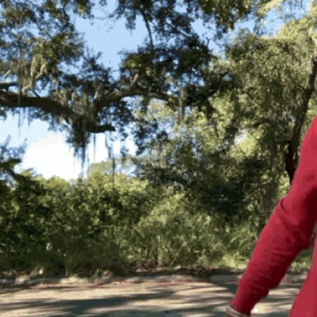 a person in a red sweater is walking down a path with trees in the background