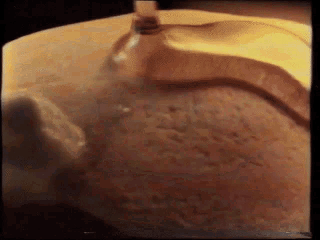 a close up of a snake in a container