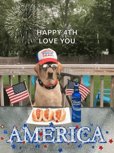 4th Of July Independence Day GIF