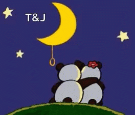 Pandas In Love Turn Off The Moon GIF - Pandas In Love Turn Off The Moon Many Kisses GIFs