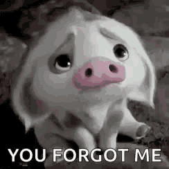 a sad pig is sitting on the ground with the words `` you forgot me '' written on it .