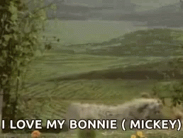 Bonnie Mickey GIF - Bonnie Mickey GIFs