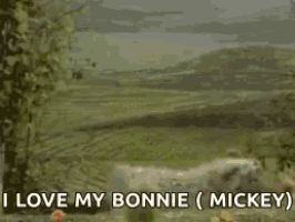kermit the frog says i love my bonnie and mickey