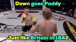 a boxing match with the words down goes paddy just like britain in 1842 on the bottom