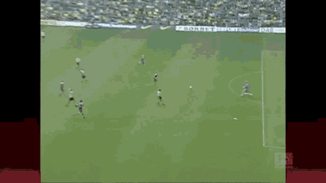 a soccer game is being played on a field with a nike ad behind the goal