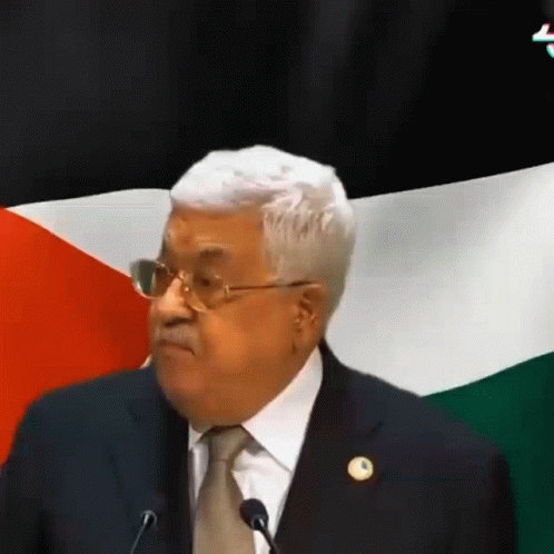 Mahmoud Abbas Palestine GIF - Mahmoud Abbas Palestine Palestine Flag GIFs