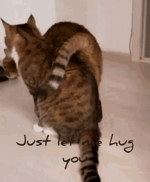 a picture of two cats with the words just let me hug you