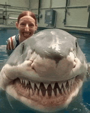 a woman is smiling next to a shark that has a shirt that says usa on it