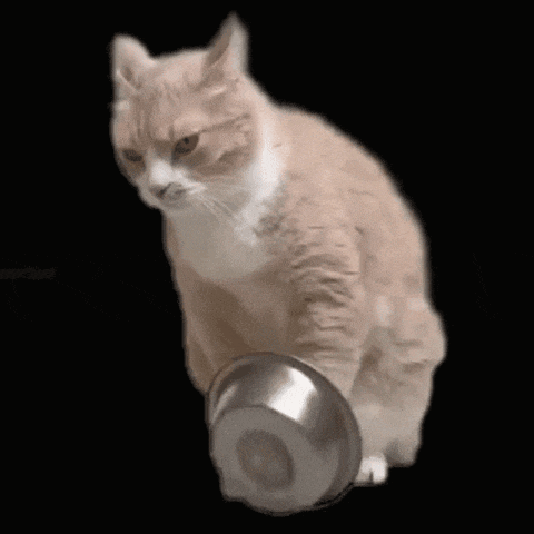 a brown and white cat is reaching into a metal bowl on a black background