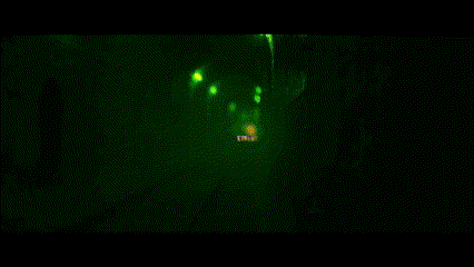 a person with blood dripping from their eyes is standing in a dark room
