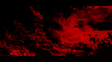a painting of trees in the dark with a red sky in the background