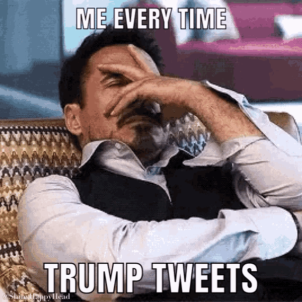 Donald Trump Twitter GIF - Donald Trump Twitter Tweet GIFs