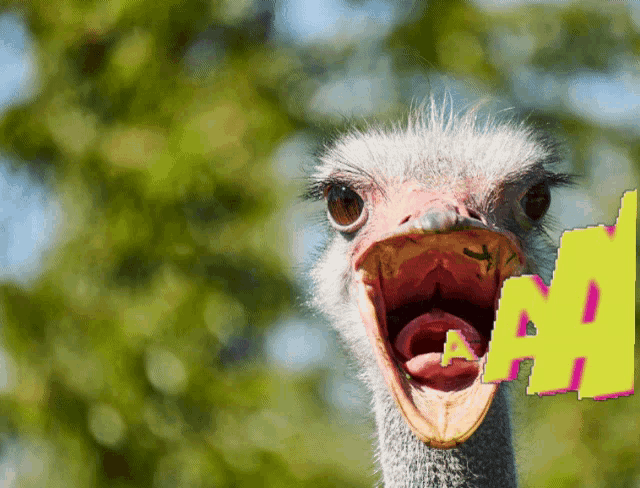 a close up of an ostrich with its mouth wide open and the letter a behind it