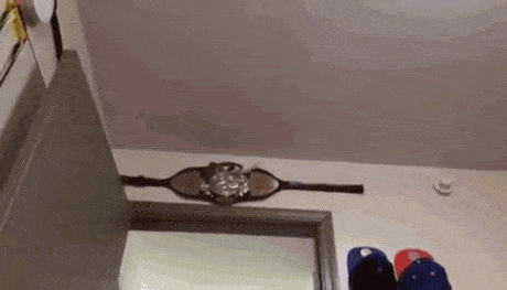 When I’m Upstairs And My Mom Yells “dinner’s Ready!” GIF - GIFs