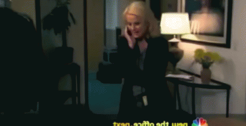 Leslie Knope Parks And Rec GIF - Leslie Knope Parks And Rec Recreation GIFs