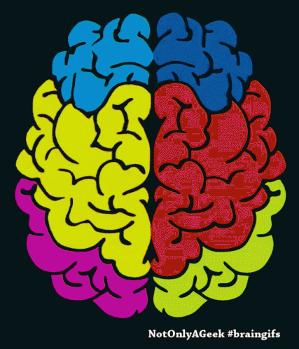 Brain Colors GIF - Brain Colors Not Only A Geek GIFs