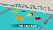 a cartoon of a swimming pool with the words three hours later below it