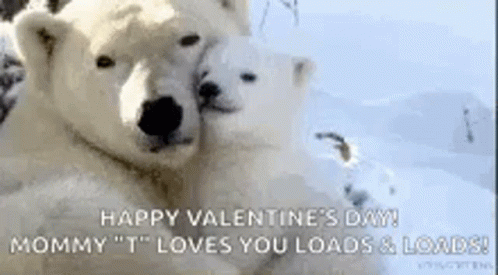 Polar Bears Love GIF - Polar Bears Love Happy Valentines Day GIFs