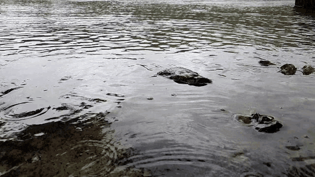 a large rock is floating in the water