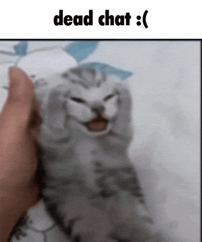 a cat is being held in a person 's hand and is making a face .